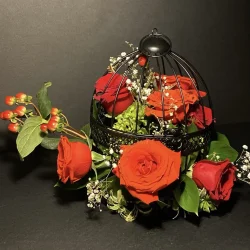 Valentine5