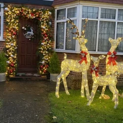 christmas outdoor