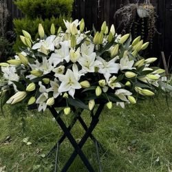 star event design (97)
